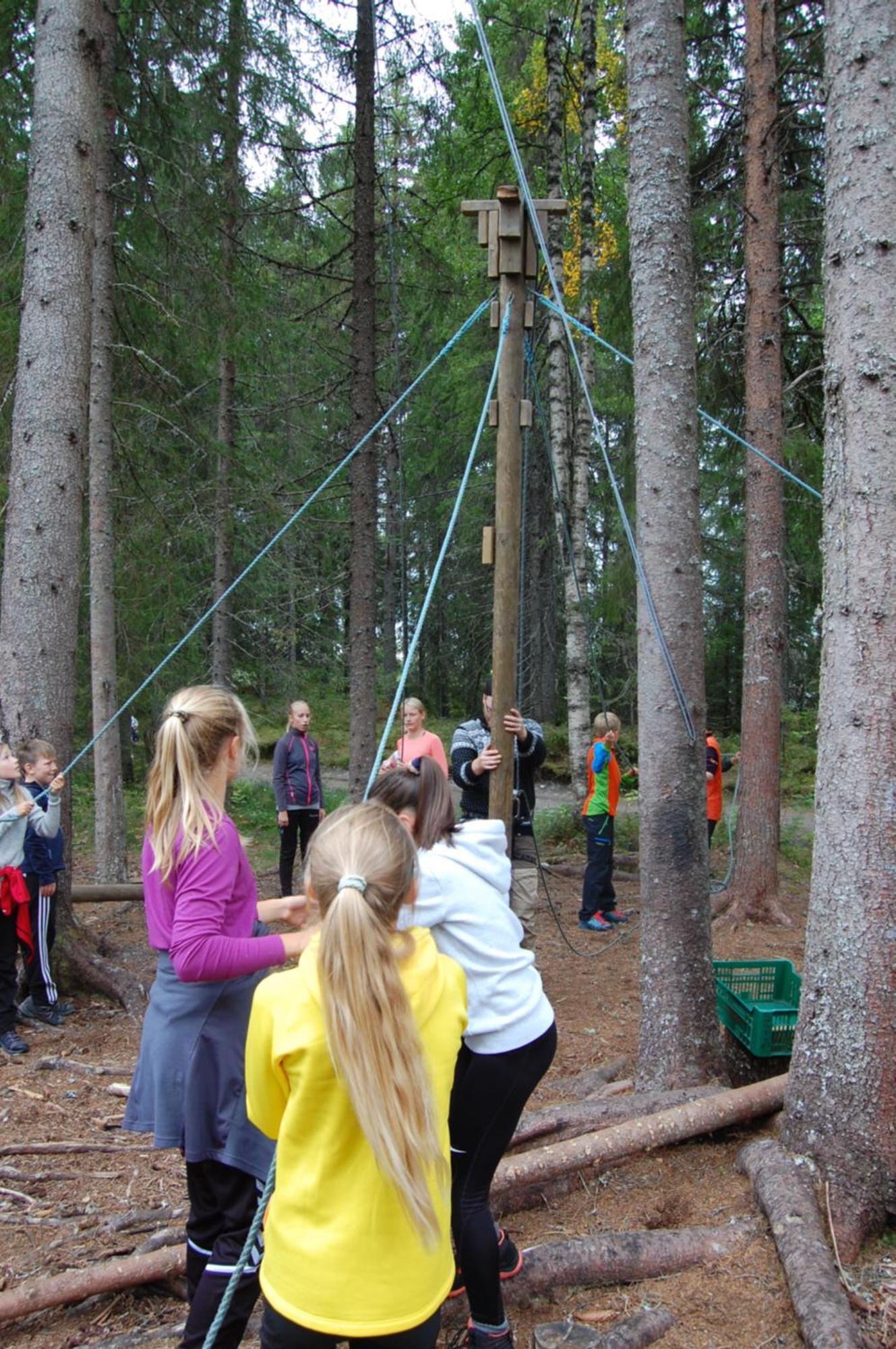 Camp Sjusjoen Hotel Mesnali Buitenkant foto